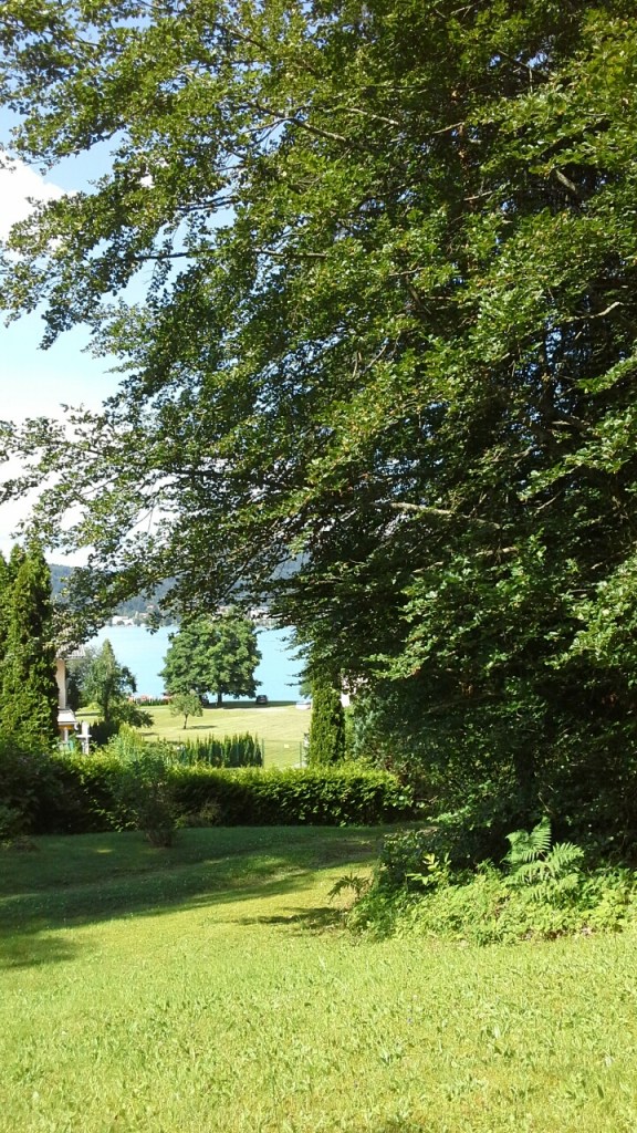 20160701_161119_resized